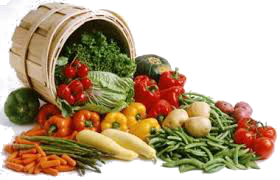 20211-Nutrición Vegetariana y Dietoterapia I